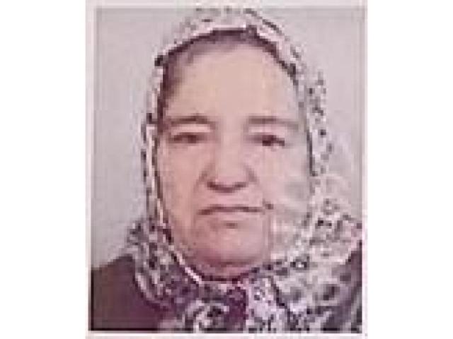 BALIĆ (Čaušević) ZEMINE