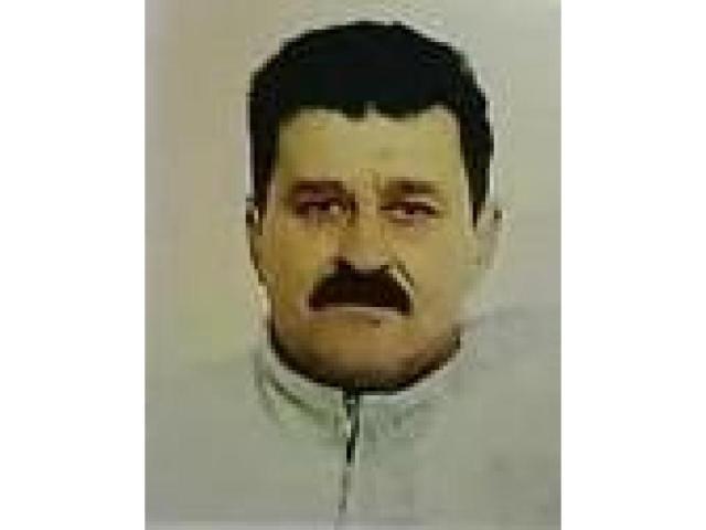 Brčaninović (Sinan) Mevludin – Mrko