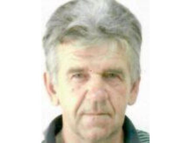 VAHID ( SALIH ) NOVALIJA
