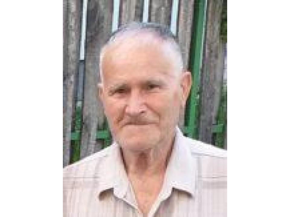 IFET (SALIH) MUHAREMOVIĆ